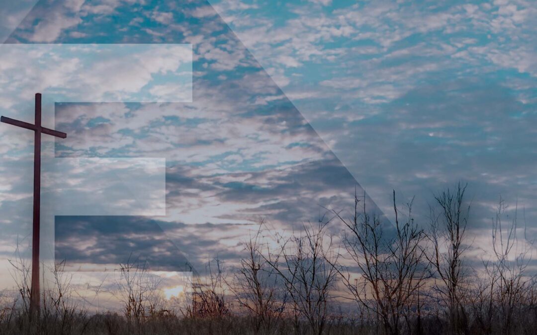 What Audience Wants From Your Speaking Engagement.